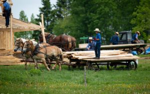 Business Success Using the Amish Model