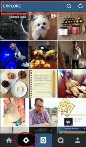 Instagram for Your Business