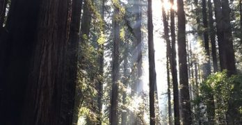 Introverts and Entrepreneurship