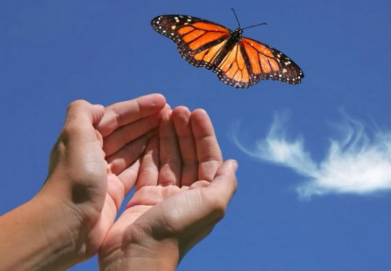 Letting Go and Moving On