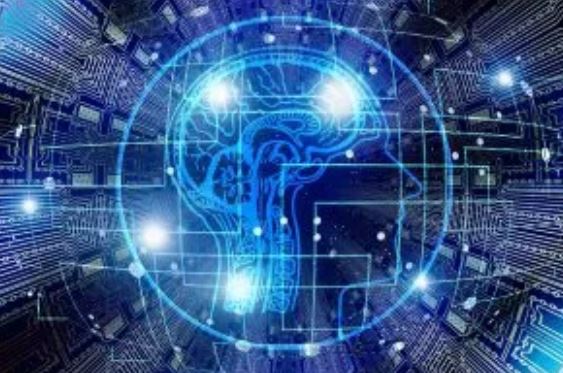 Training AI to Think in Your Voice